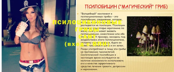 кокс Липки